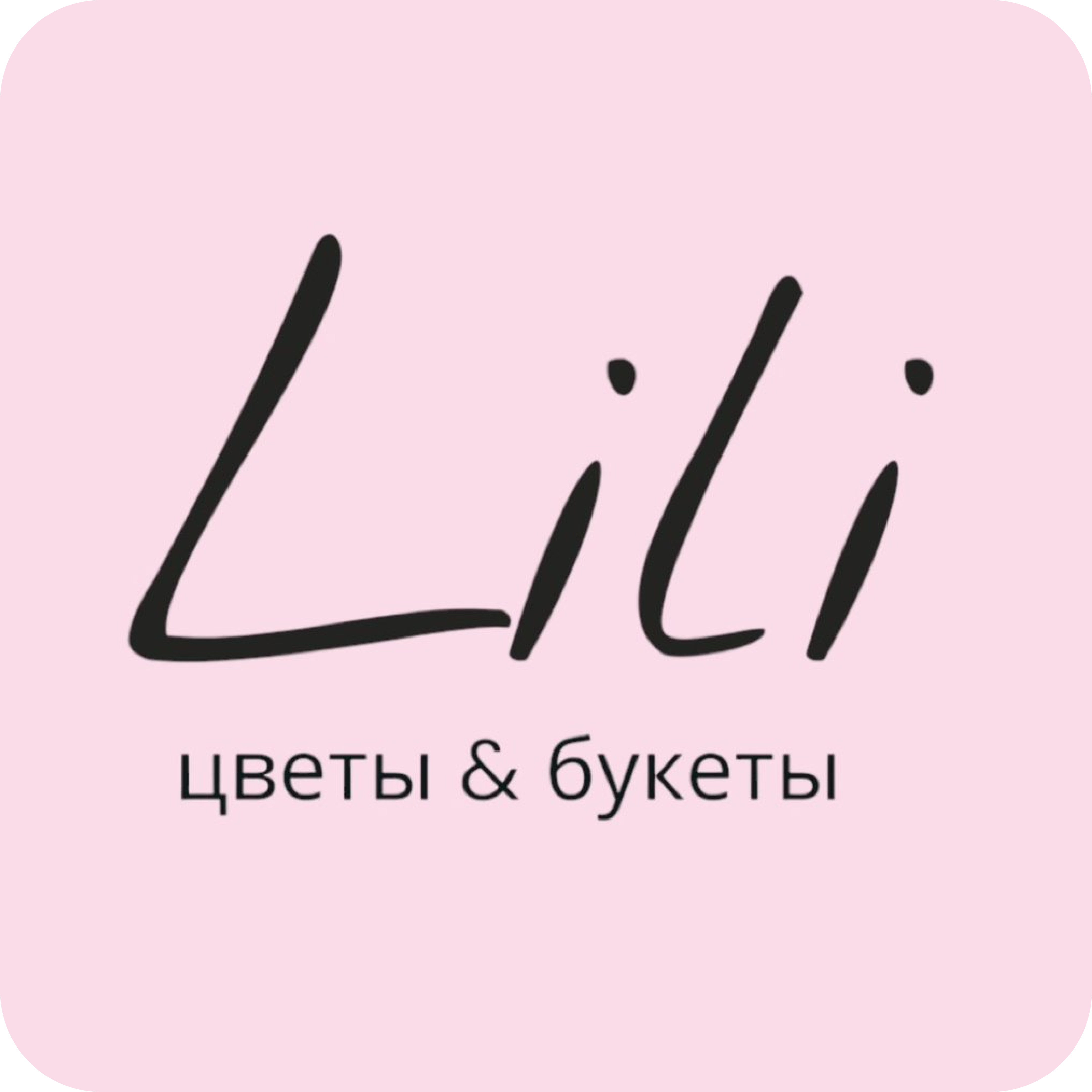 Розы и хризантемы от 8р от "Lili Цветы и букеты" в Светлогорске 